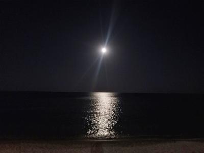 Прикрепленное изображение: 033-3.jpg